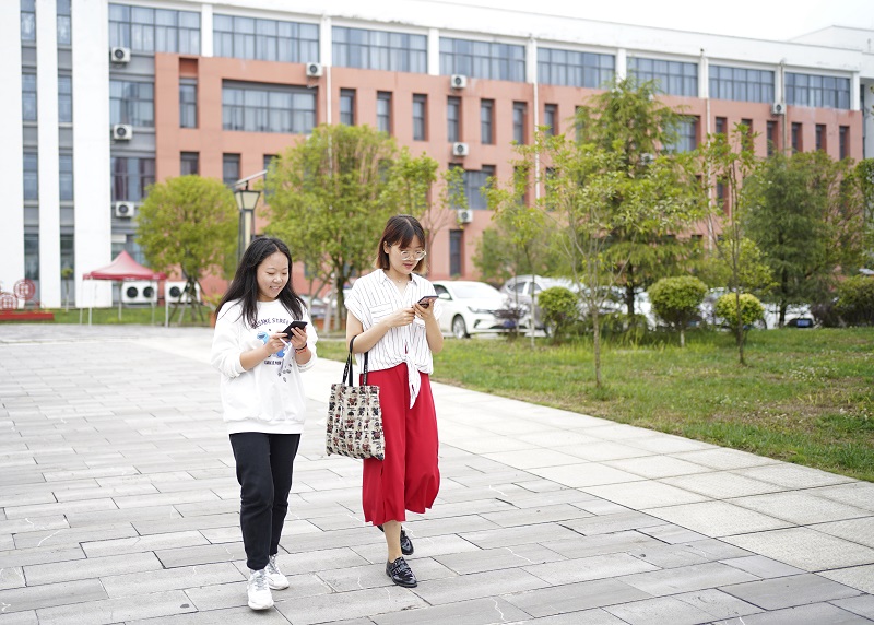 校園道路